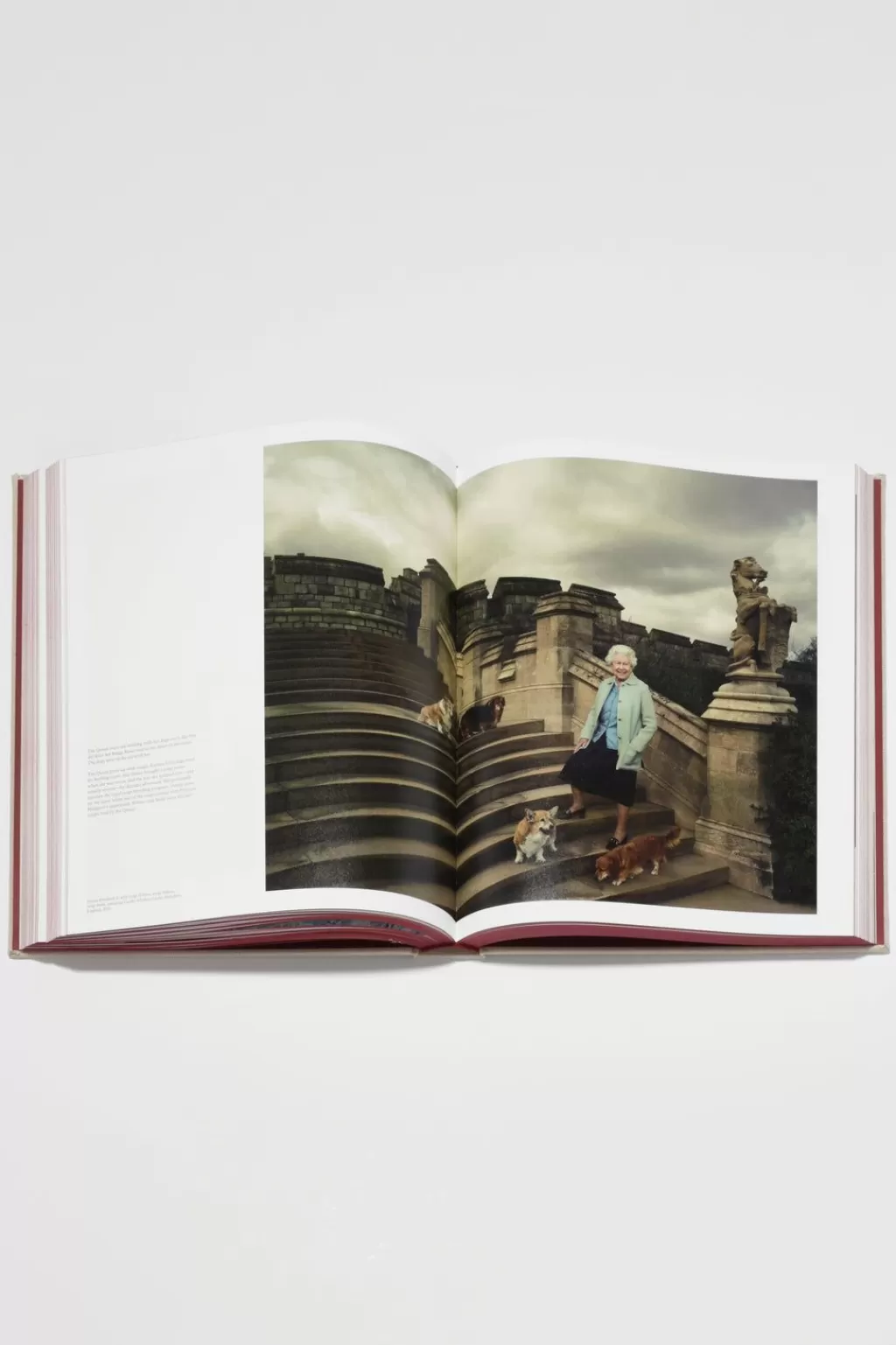 Best Annie Leibovitz: Wonderland Books And Magazines