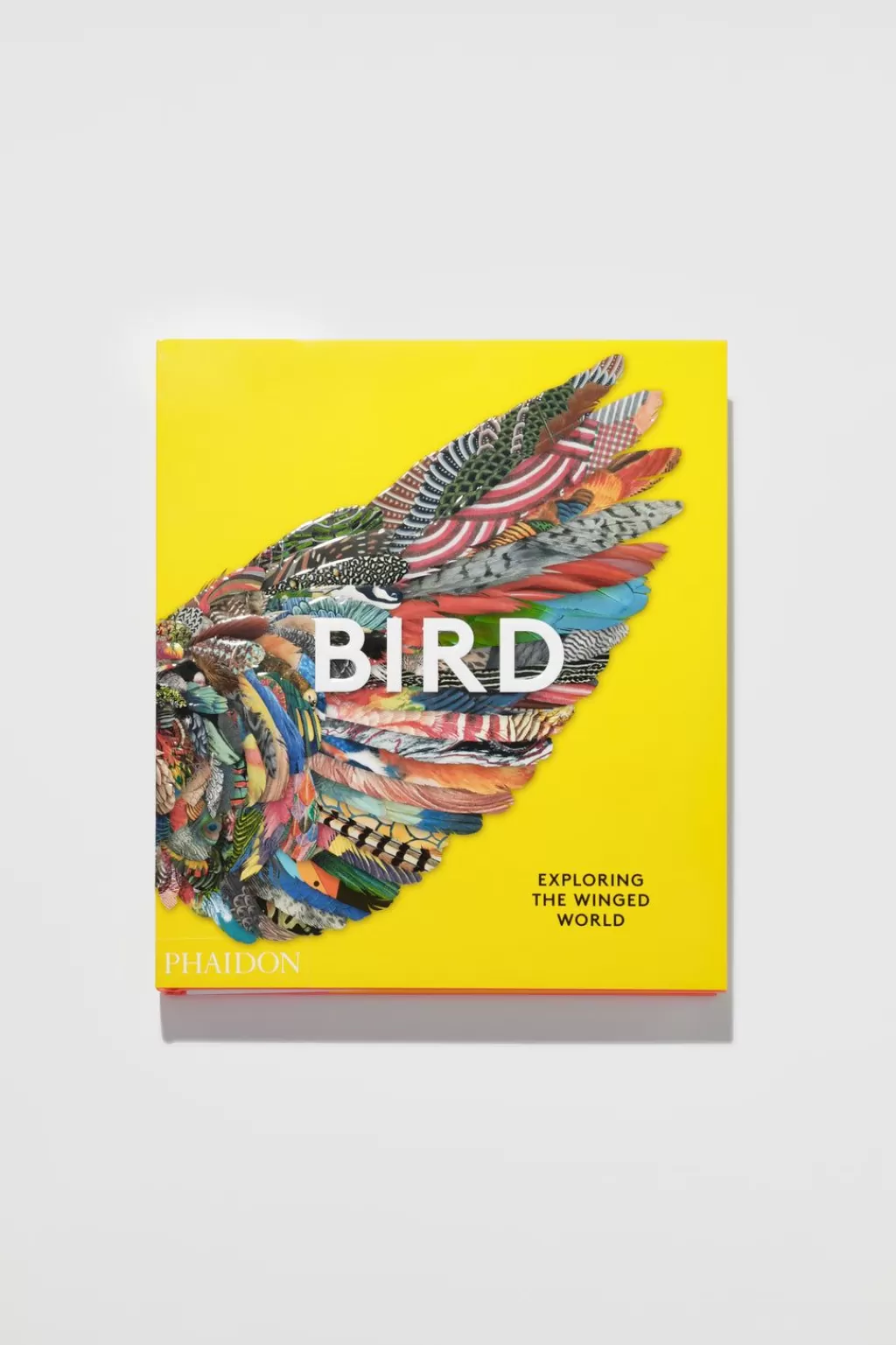 Sale Bird: Exploring The Winged World Books And Magazines