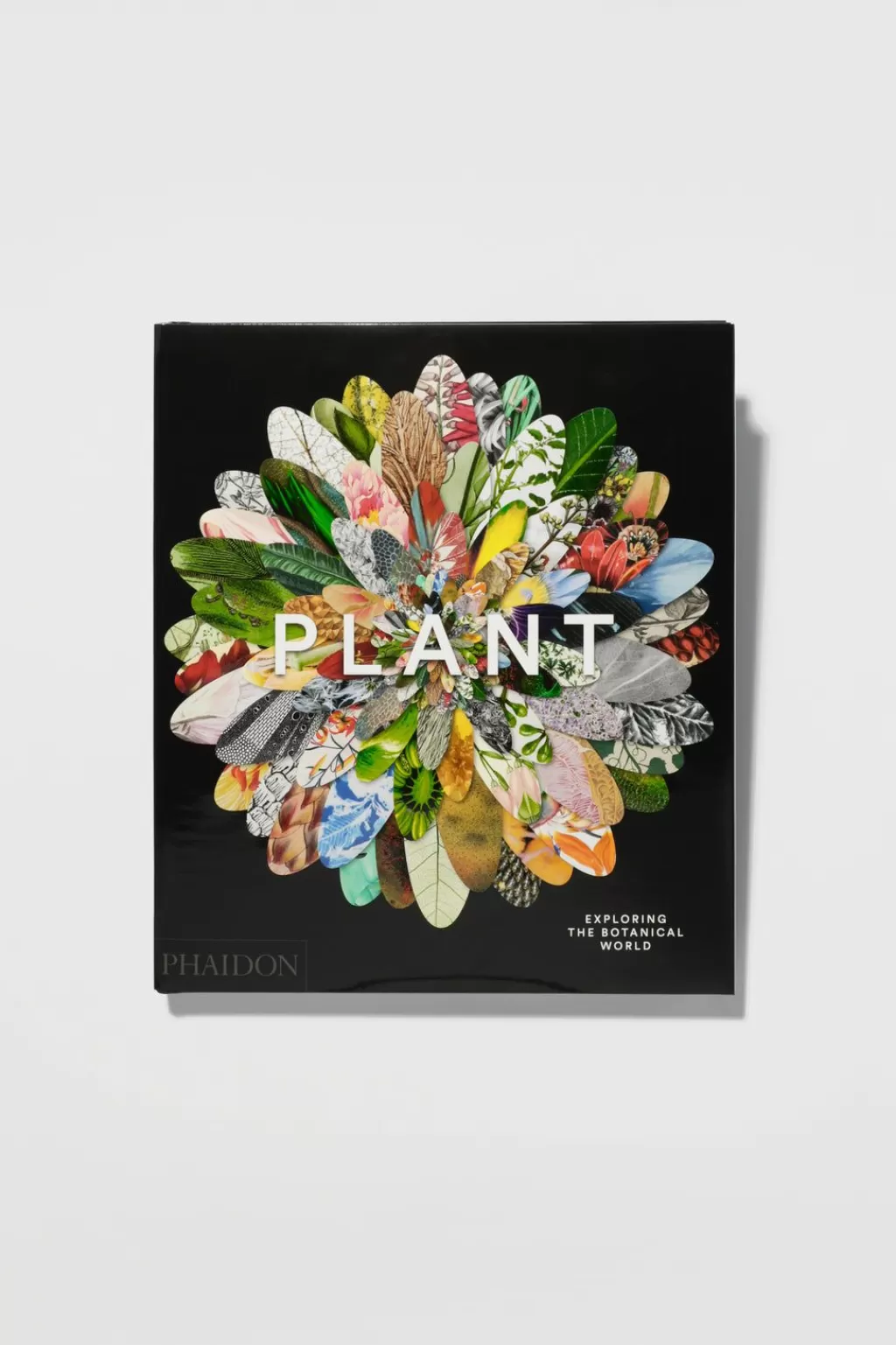 Best Sale Plant: Exploring The Botanical World Books And Magazines