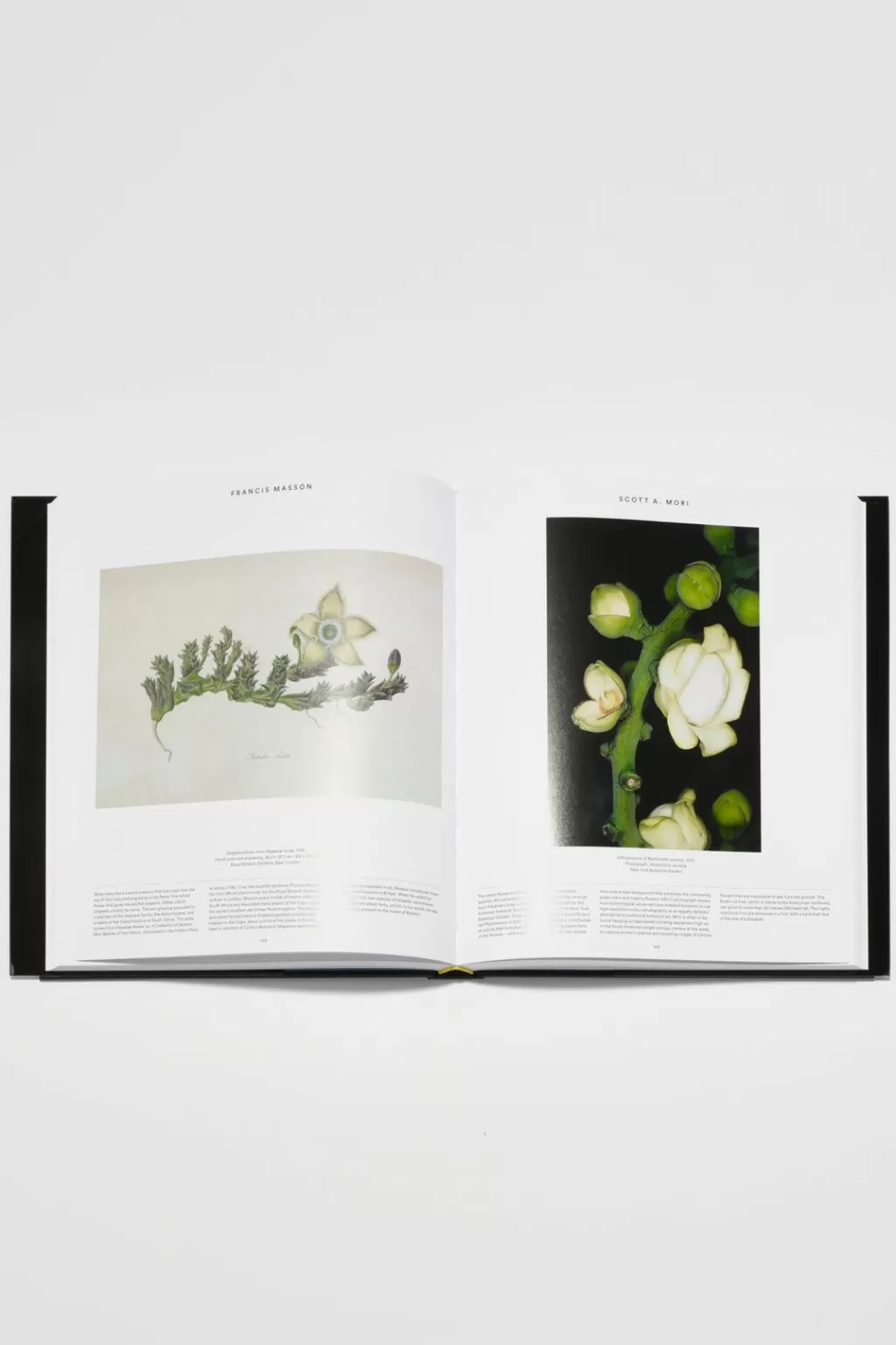 Best Sale Plant: Exploring The Botanical World Books And Magazines